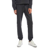 Мужские спортивные брюки ARCTIC. Цвет: Серый